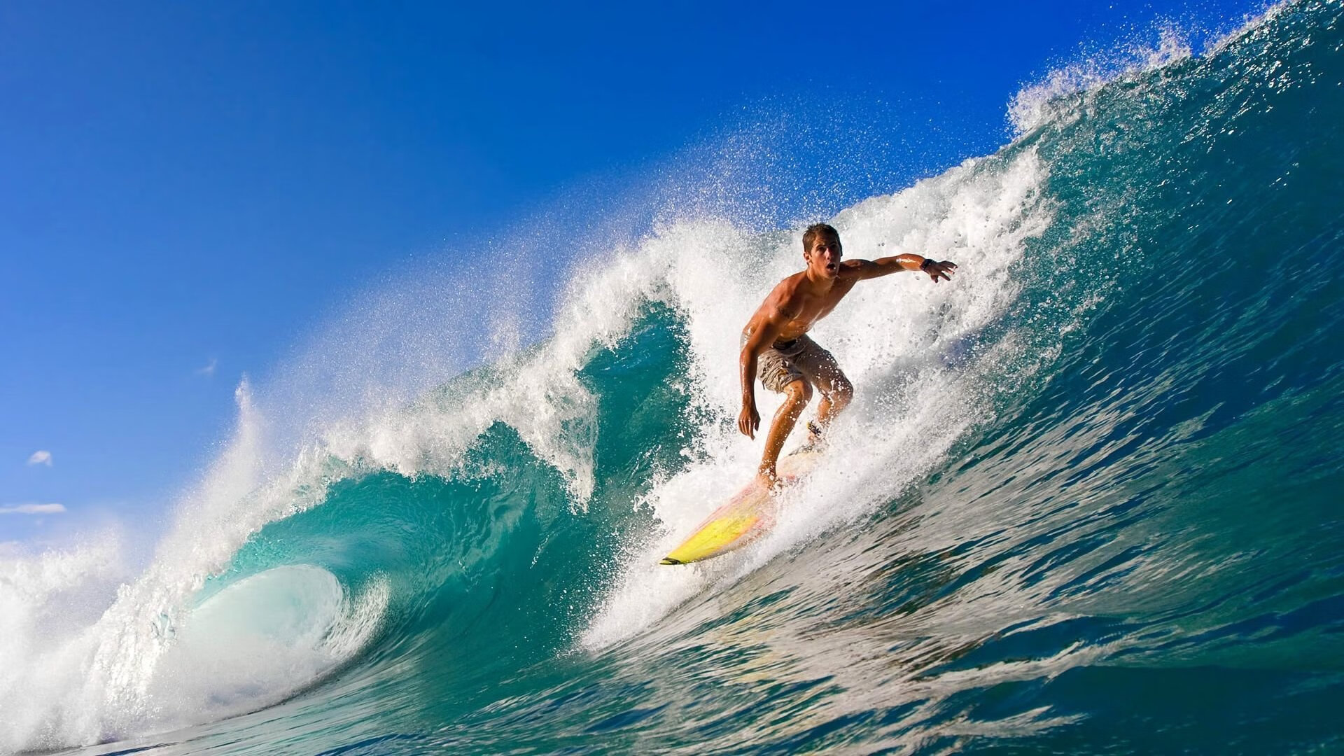 小贾伦成为全场焦点，开拓者强势晋级雄鹿